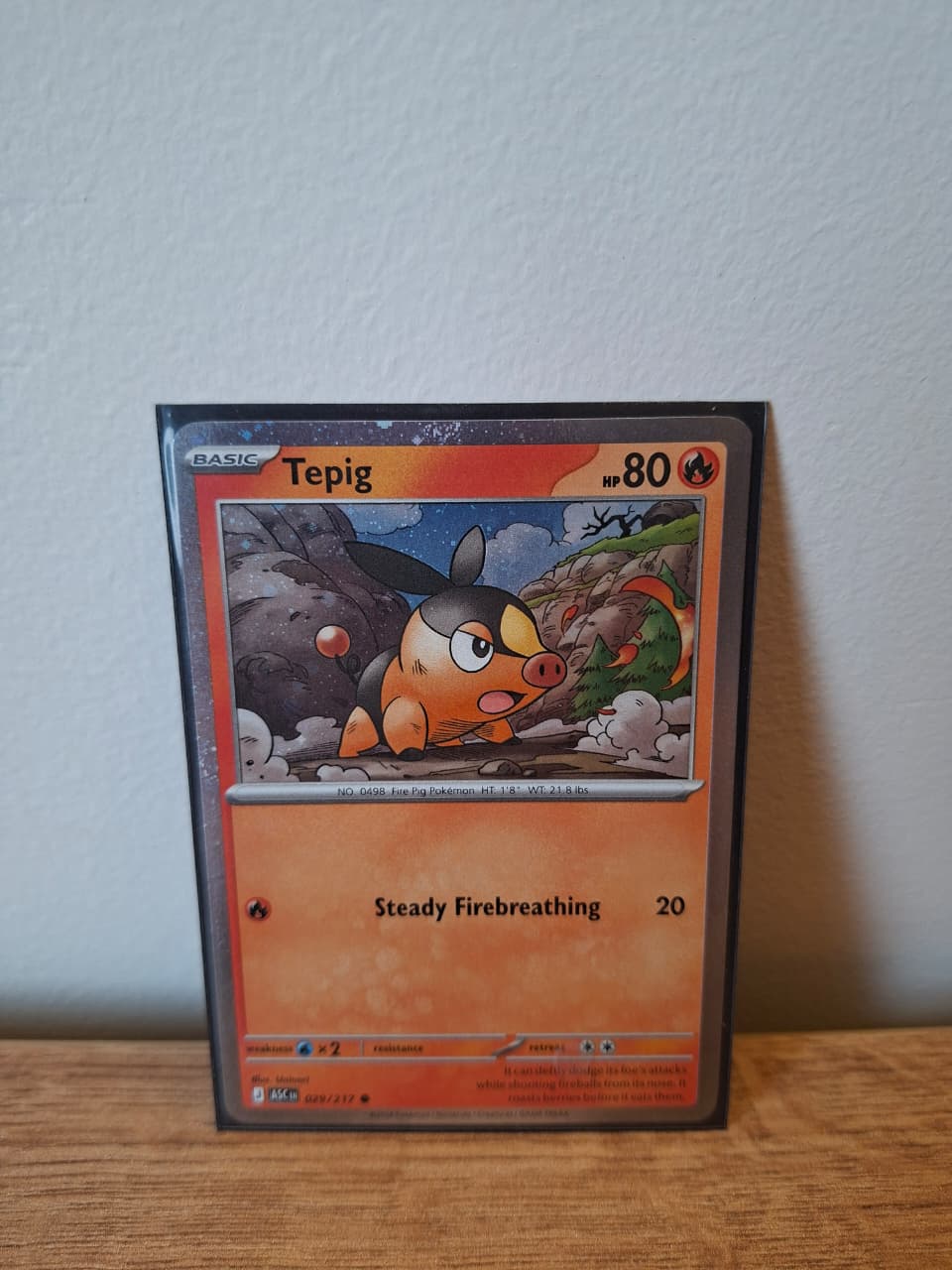 Tepig