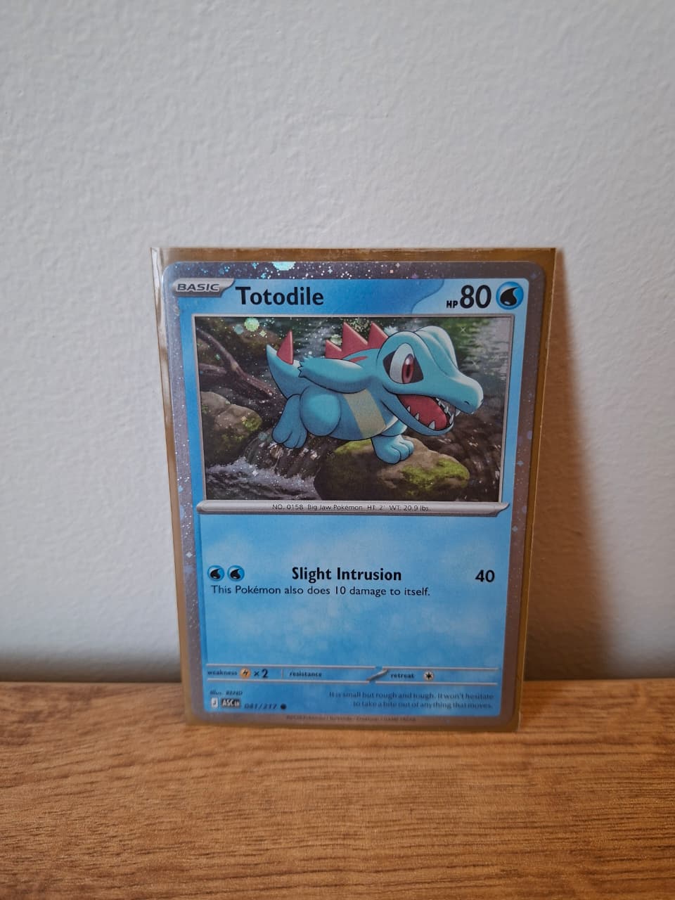 Totodile
