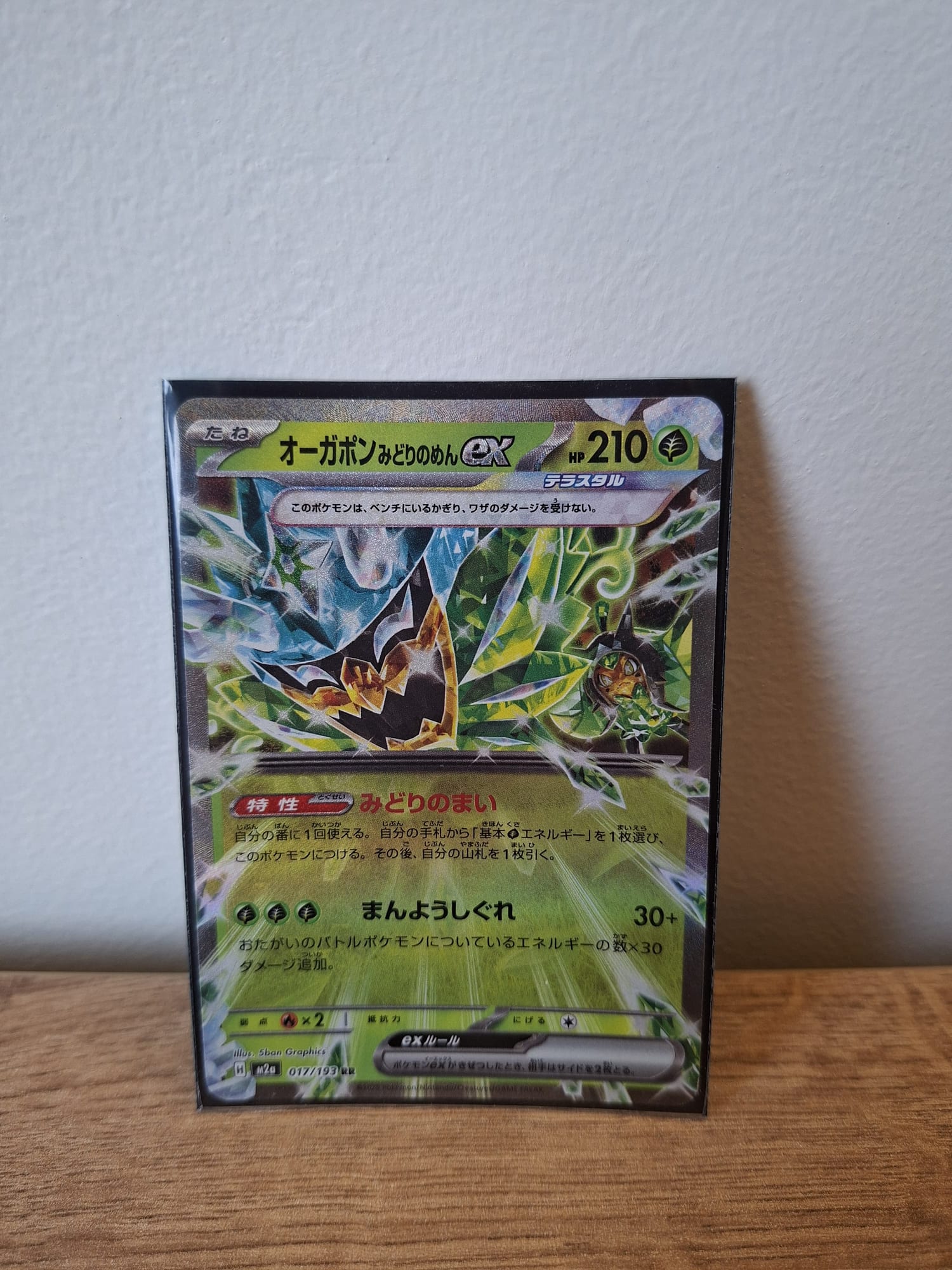 Teal Mask Ogerpon ex (Japanese)