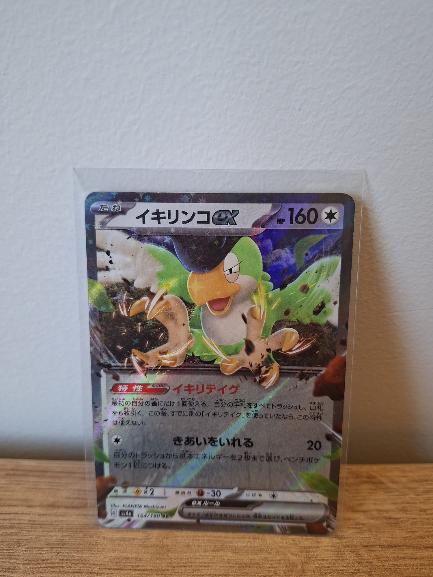 Squawkabilly ex (Japanese)